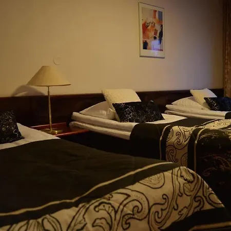 Hotel Center 3*